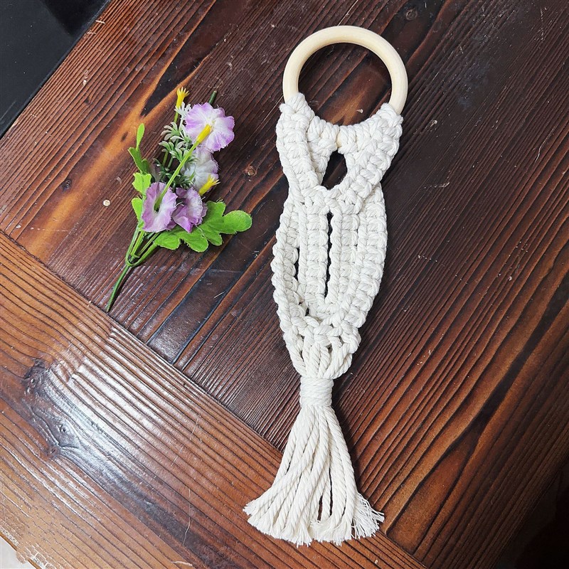 新款跨境木环手工空气凤梨绿萝干花网兜阳台墙壁装饰挂件儿童房