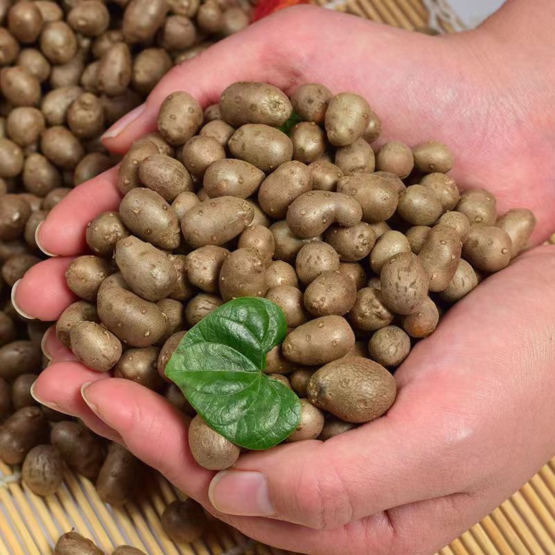 2024贵州新鲜小号铁棍山药豆糖葫芦豆中号豆小果白玉豆大果山药豆