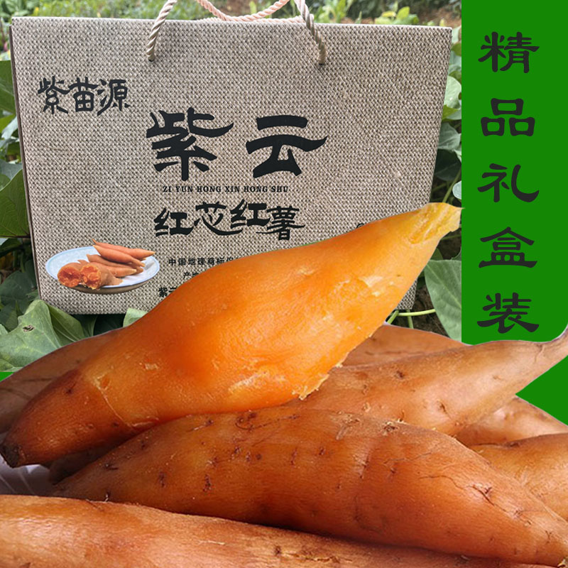 贵州新鲜精品紫云红心薯迷你山芋地瓜现挖现发金手指小香薯小红薯