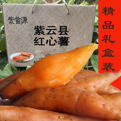 贵州新鲜红心红薯大果中果小果