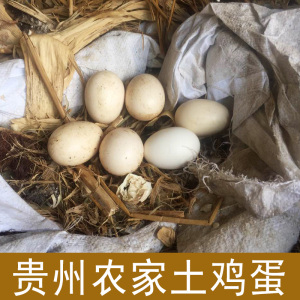 贵州土鸡蛋农家散养蛋新鲜放养月子蛋孕妇儿童鸡蛋30枚山鸡蛋包邮