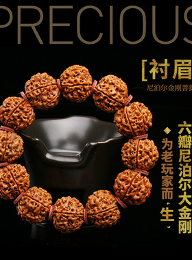 孤品爆肉尼泊尔菩提子手串大金刚