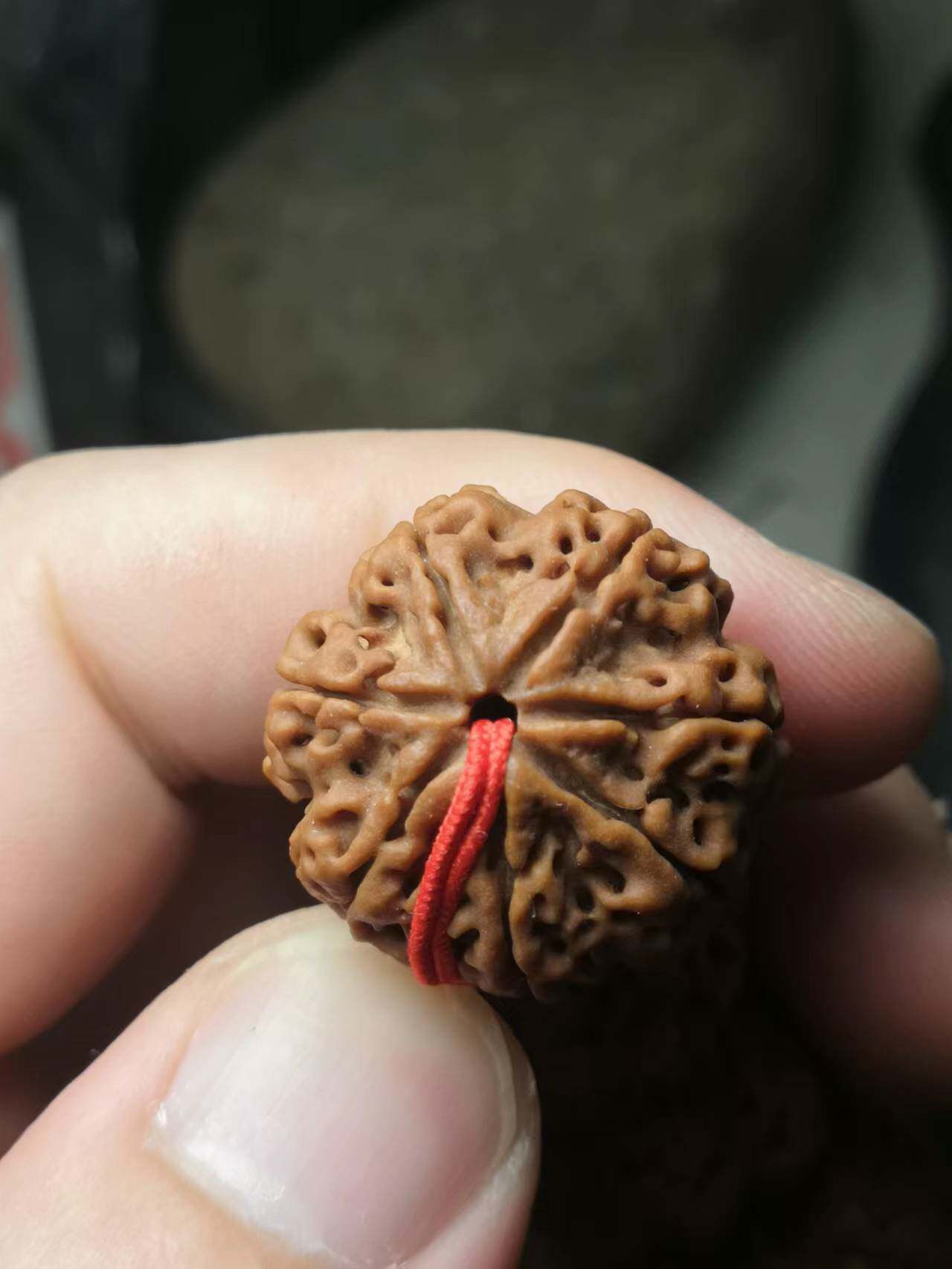 弥刻男尼泊尔大金刚7瓣24mm