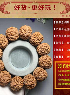 爆肉尼泊尔纹理牛筋男士大金刚