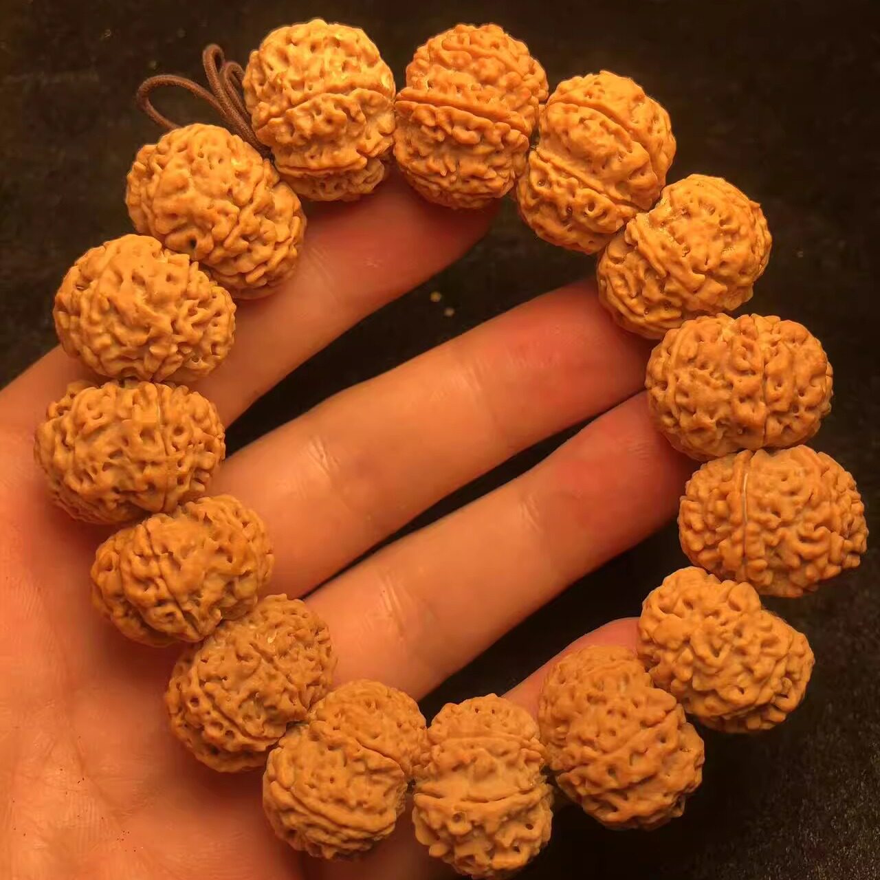 毕业级爆肉7瓣23mm飞碟尼泊尔大金刚菩提手串文玩梅花蜂王姜黄皮