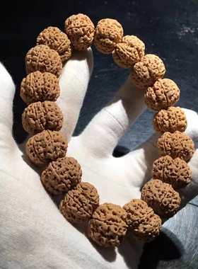手机实拍 弥刻6瓣22mm爆肉梅花双龙黄皮尼泊尔大金刚菩提子手串男