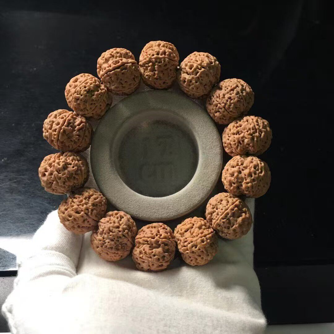 弥刻尼泊尔六6瓣爆肉大金刚菩提