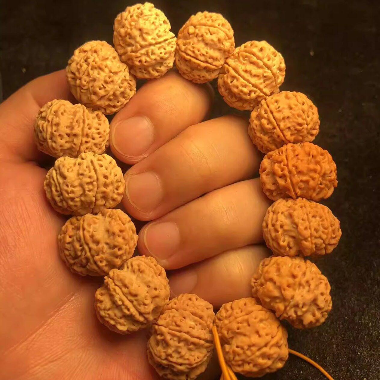 毕业级爆肉蜂窝7瓣23mm尼泊尔大金刚菩提子手串原籽男文玩佛珠