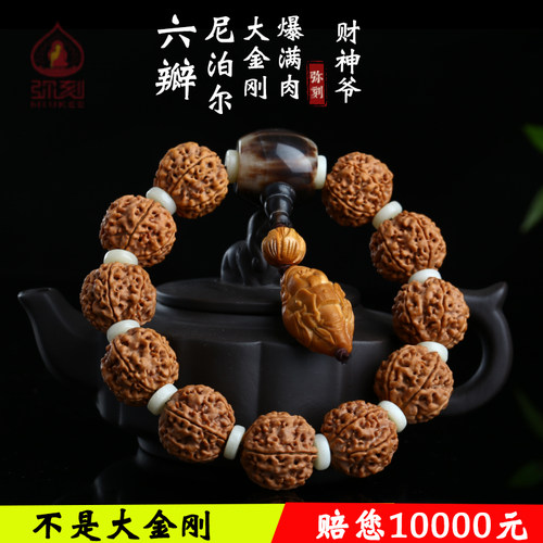 弥刻尼泊尔大金刚爆肉矮桩黄皮