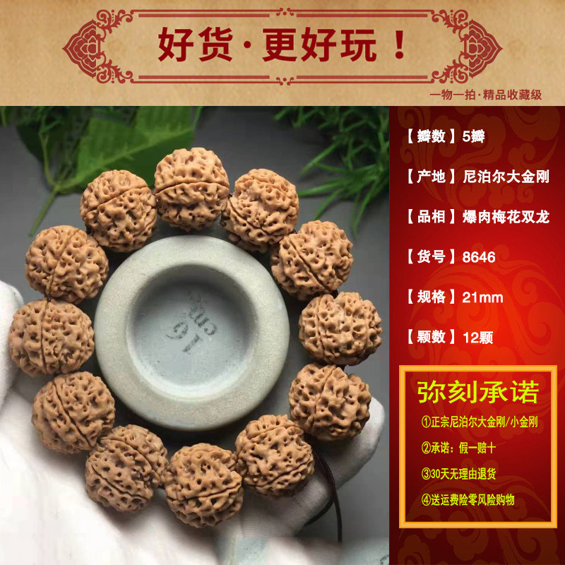 爆肉尼泊尔菩提矮桩男士大金刚