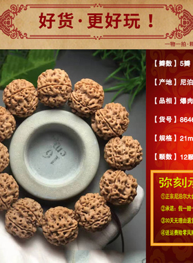爆肉尼泊尔菩提矮桩男士大金刚