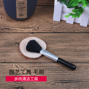 多肉清洁工具 软毛刷 家庭园艺新手多肉小物灰尘清理小刷子