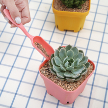 种多肉植物土石铺面种植微景观造景园艺小工具塑料铲子勺子