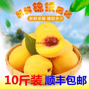 高山黄桃香脆甜10斤包邮锦绣黄桃子新鲜现摘孕妇农家当季水果