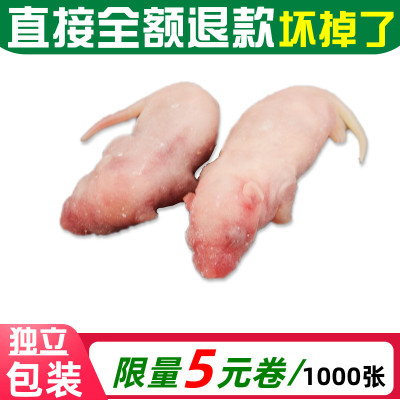 无菌冻鼠宠物蛇粮食猫咪零食