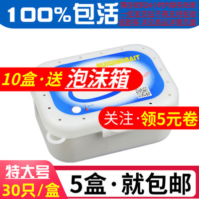 拍5盒包邮 特大号葡萄蜜虫守宫大蜡螟幼虫钓鱼玉米虫钓饵鸟食活虫