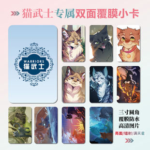 猫武士动漫周边同款海报明信片镭射小卡贴纸照片节日礼物定制