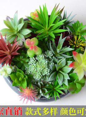 仿真多肉植物绿植装饰品仙人掌小
