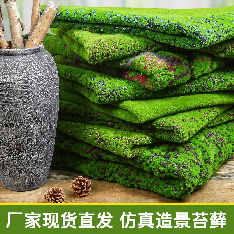 植物墙草坪仿真苔藓绿色假苔藓青苔微景观盆景造景装饰材料草坪