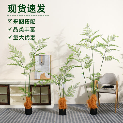 仿真绿植猴头蕨室内客厅卧室仿生