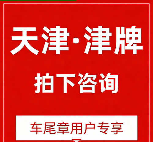 天津违章自助
