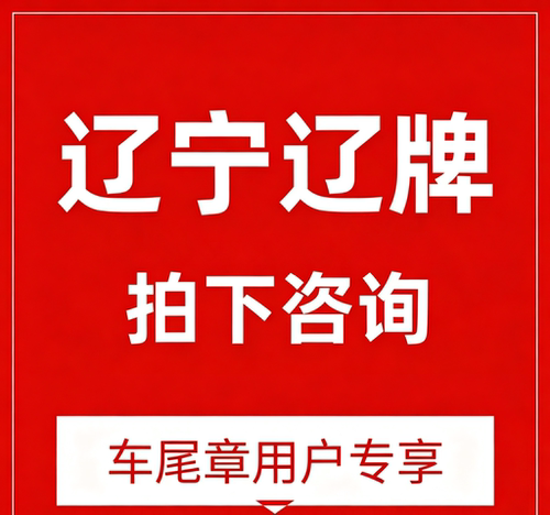 辽宁违章（自助）