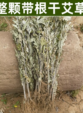 野生艾叶干艾草整颗带根端午艾草