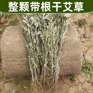 野生艾叶草干艾草家用整颗带根端午挂门窗驱蚊洗澡泡脚月子艾草根