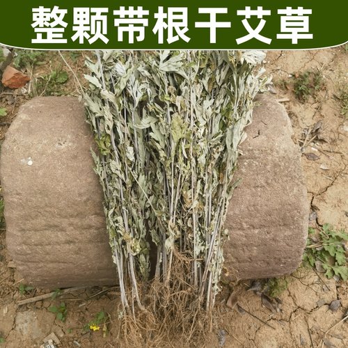 野生艾叶干艾草整颗带根端午艾草