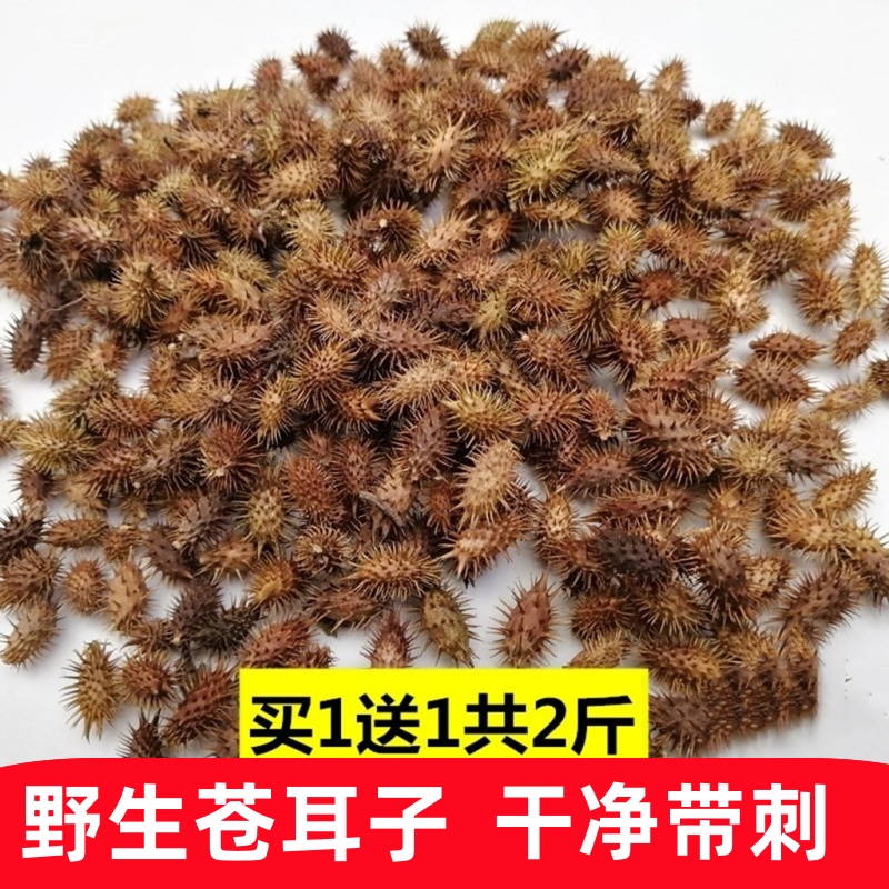 野生苍耳子中药材成熟带刺苍耳种子流鼻涕鼻塞苍耳油泡脚散装包邮