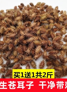 野生苍耳子中药材成熟带刺苍耳种子流鼻涕鼻塞苍耳油泡脚散装包邮