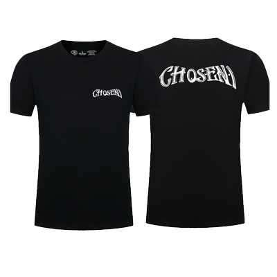 詹姆斯Chosen1天选之子印花短袖