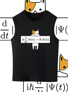 Schrödinger方程式薛定谔猫纯棉无袖背心男女情侣宽松衣服潮流