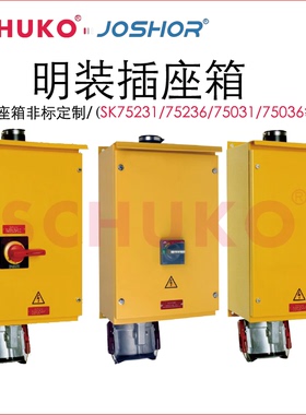 大电流岸电码头专用工业插座箱200A/250A/400A电源插座箱SK75236