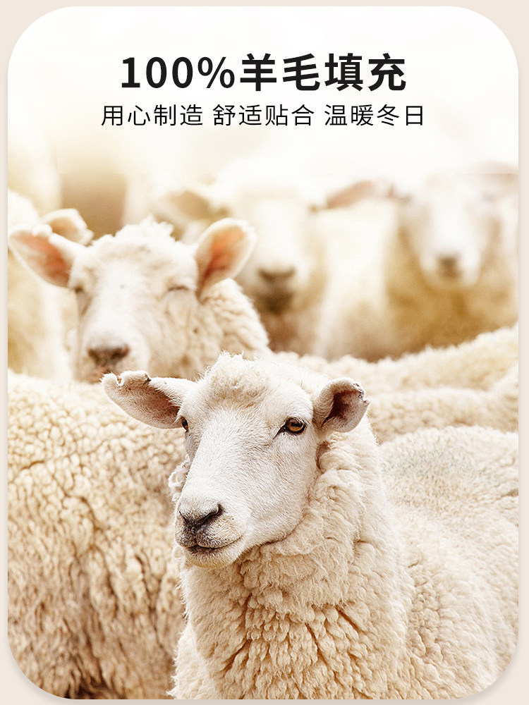 노년을 위한 따뜻한 가디건 여성용 두꺼운 벨벳 조끼 어머니 민소매 조끼 노인 할머니 바닥 이너 속옷