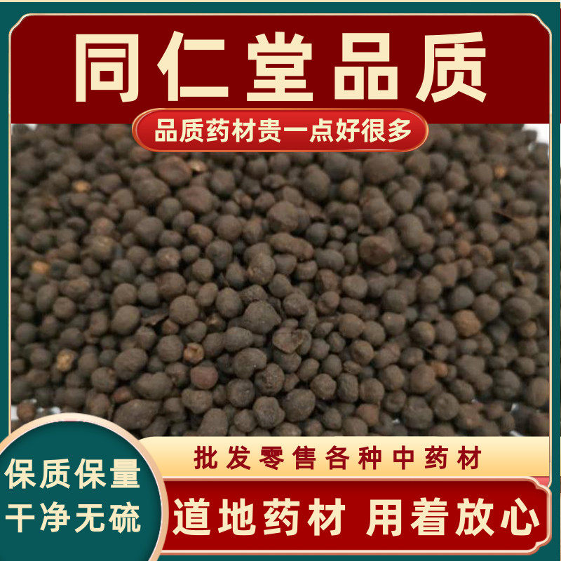 高品质地下珍珠中药材地下明珠铁称锤地子一粒金丹陈伤子茅膏菜根