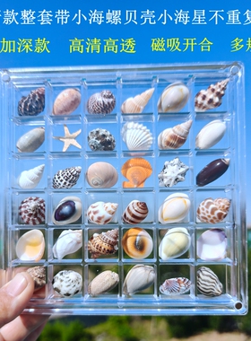天然迷你小海螺贝壳海星高透磁吸收纳盒相框微贝沙标本海边小礼物