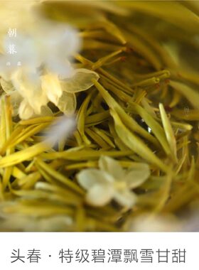 茉莉花茶 2026春七窨雪竹茉莉春茶碧潭级特级飘雪甘甜浓爽嫩绿茶