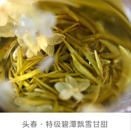 茉莉花茶 2026春七窨雪竹茉莉春茶碧潭级特级飘雪甘甜浓爽嫩绿茶