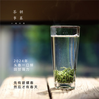 朝暮·碧螺春 2024年春新茶特级明前绿茶鲜嫩回甘强春茶回甘绿茶