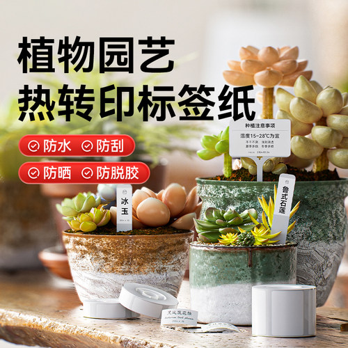 【M2/N1/B32/Z401 园艺标签】精臣热转印标签纸园艺t型多肉盆栽植物花卉名字地插牌塑料苗木挂牌标识牌