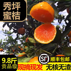 湖南石门柑橘蜜橘橘子桔子整箱新鲜孕妇水果当季薄皮无籽蜜桔