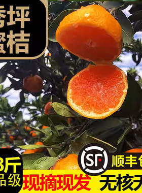 湖南石门柑橘蜜橘橘子桔子整箱新鲜孕妇水果当季薄皮无籽蜜桔