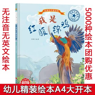 精装硬壳硬面绘本 珍贵的中国 我是红腹锦鸡0-3-4-5-6岁幼儿童宝宝早教启蒙亲子阅读幼儿园中班早教经典睡前故事动物绘本图多字少