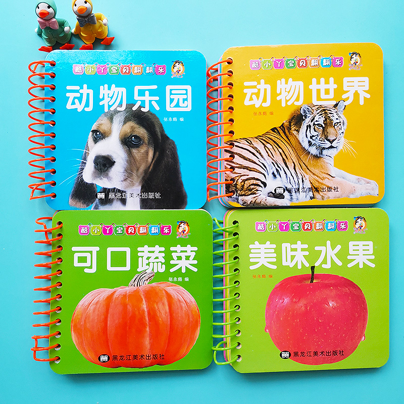 全4本启蒙认知卡片早教书