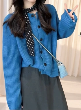 2025秋季新款休闲时尚软糯显白蓝色百搭针织开衫显瘦遮肉外套上衣