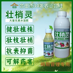 合田雨壮梢灵荔枝龙眼补充营养解药害壮枝壮梢促长叶面肥壮梢郎