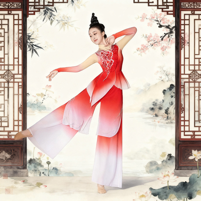 2026新款舞蹈服古典舞身韵纱衣绝美演出服女胶州秧歌舞蹈表演服