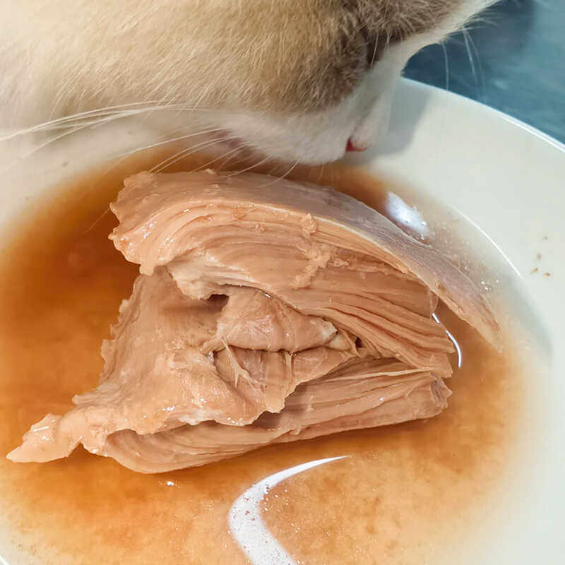 下单现做鸡胸肉猫咪零食