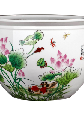 景德镇陶瓷器粉彩花盆大号水培碗莲睡莲铜钱草绿萝盆栽庭院金鱼缸